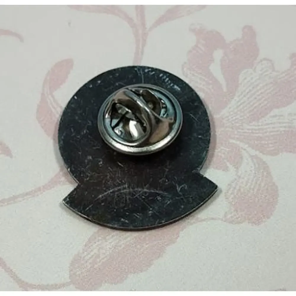 North America Horse Riding for the Handicapped Region 10 NARHA Pin